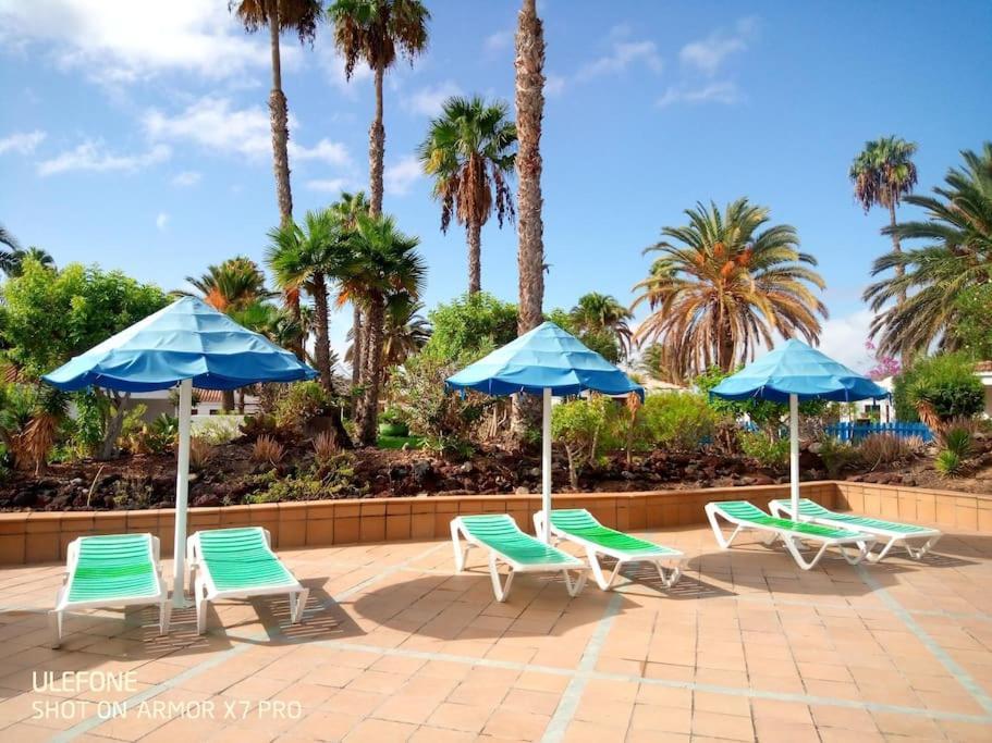 Bungalow Tropical Con Piscina Y Aire Acondicionado マスパロマス エクステリア 写真