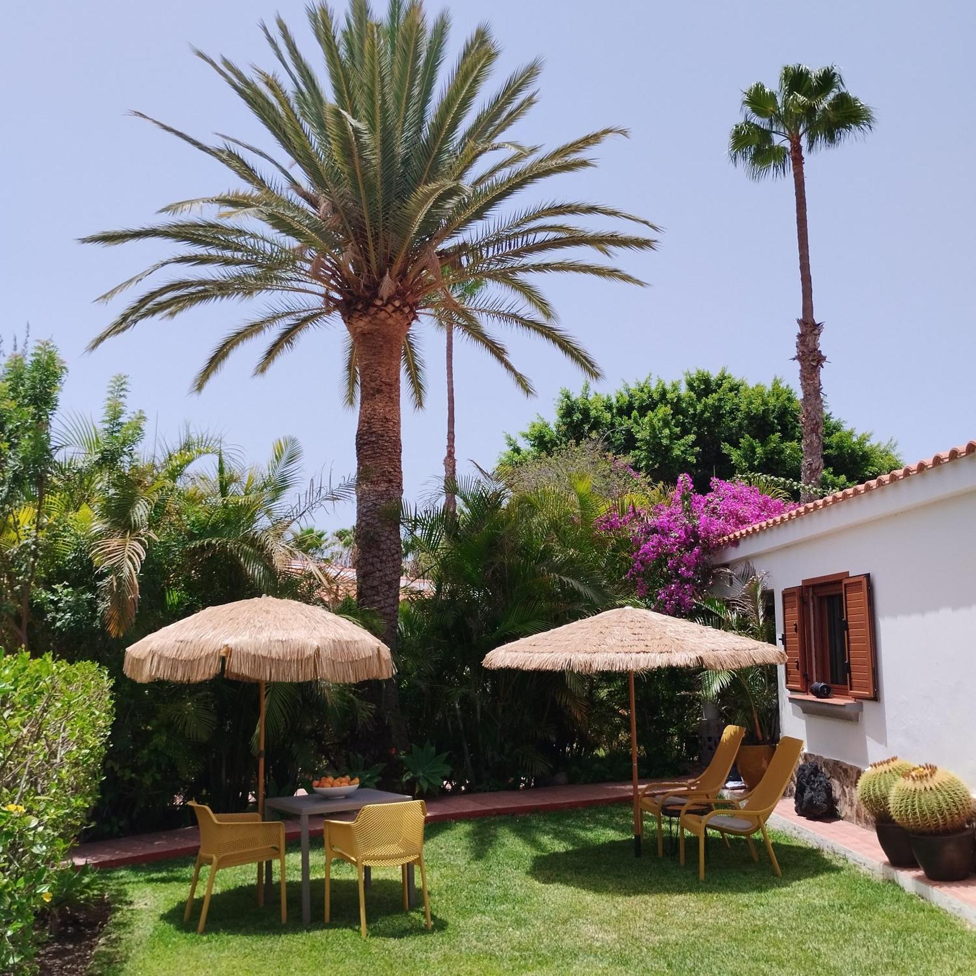 Bungalow Tropical Con Piscina Y Aire Acondicionado マスパロマス エクステリア 写真