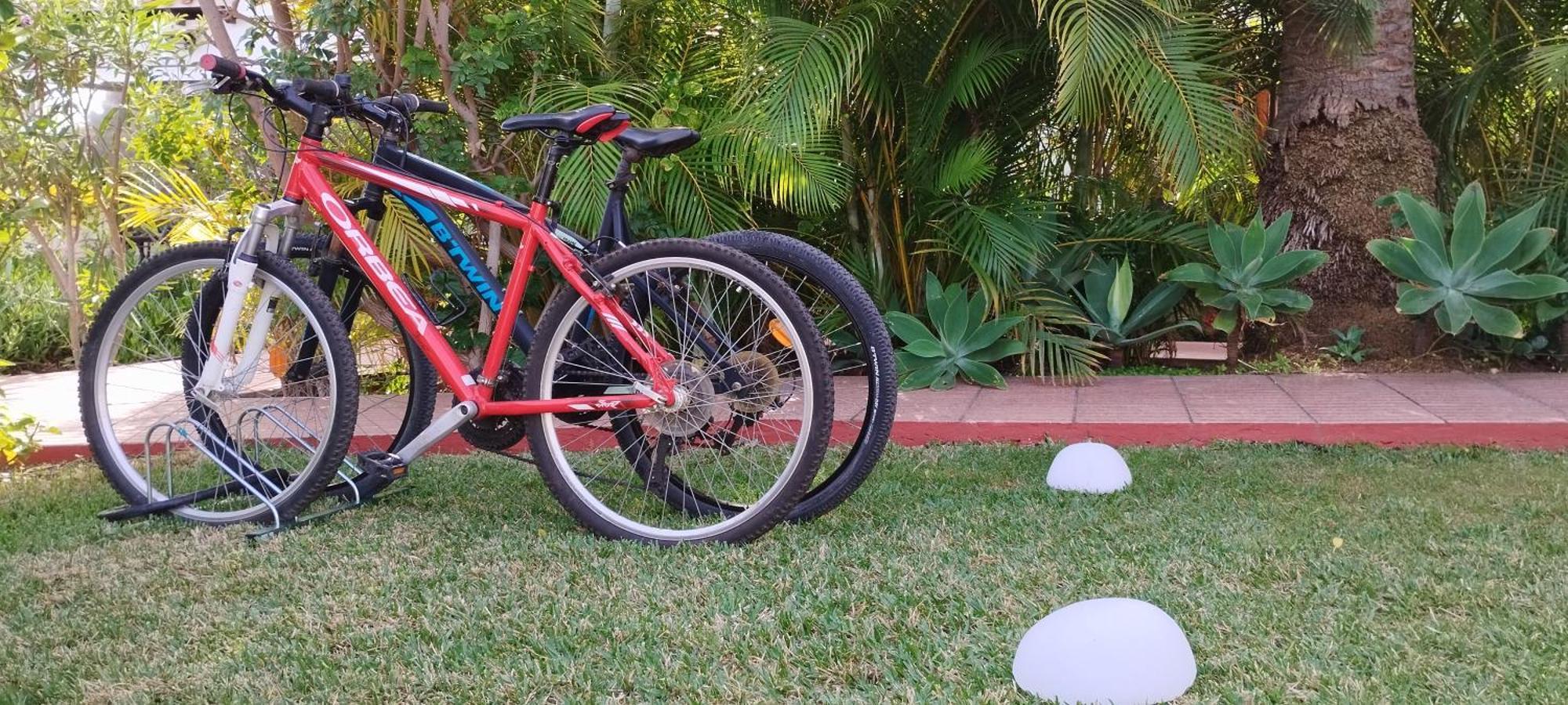 Bungalow Tropical Con Piscina Y Aire Acondicionado マスパロマス エクステリア 写真